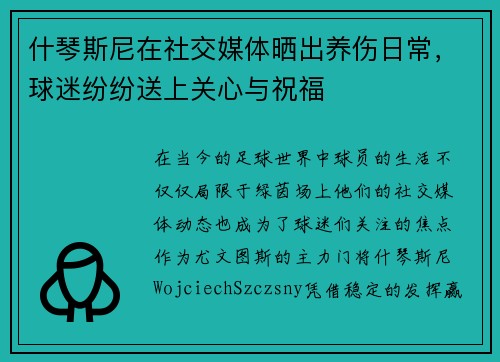 什琴斯尼在社交媒体晒出养伤日常，球迷纷纷送上关心与祝福
