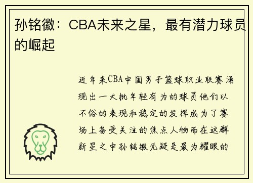 孙铭徽：CBA未来之星，最有潜力球员的崛起