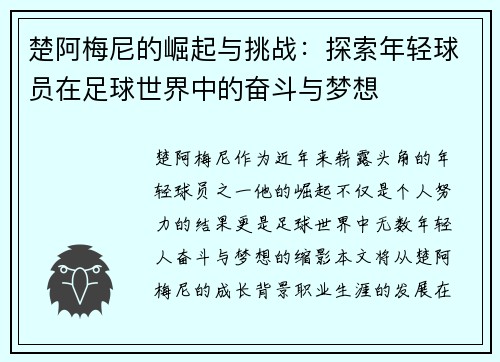 楚阿梅尼的崛起与挑战：探索年轻球员在足球世界中的奋斗与梦想