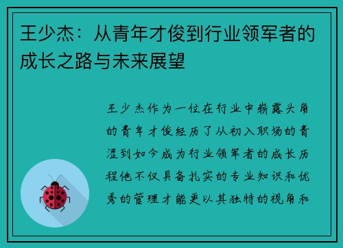 王少杰：从青年才俊到行业领军者的成长之路与未来展望