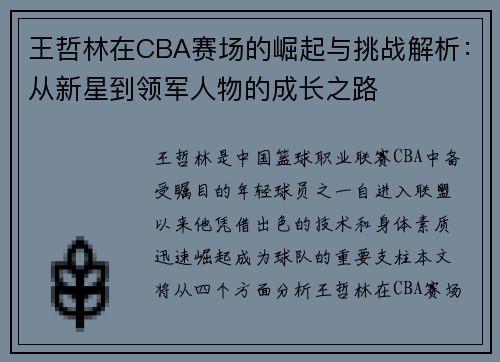 王哲林在CBA赛场的崛起与挑战解析：从新星到领军人物的成长之路