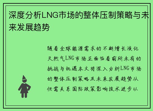 深度分析LNG市场的整体压制策略与未来发展趋势